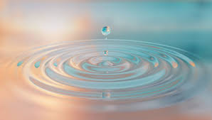 The Purity Promise: Why Ingredient Integrity Matters More Than Ever